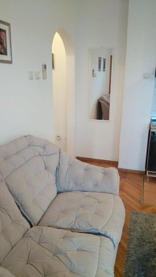 Jovana'S Apartment Novi Sad Eksteriør billede